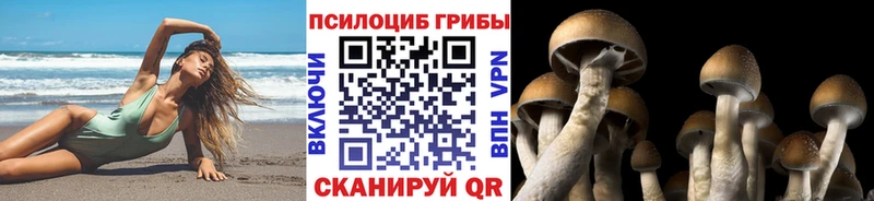 Псилоцибиновые грибы мухоморы  Дмитровск 